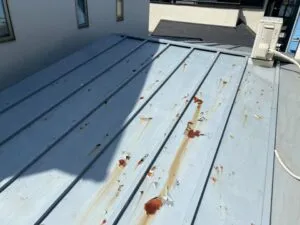 屋根お見積り
