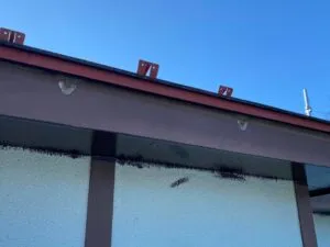 雨樋
