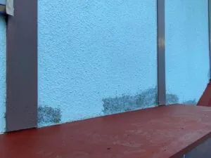 雨樋