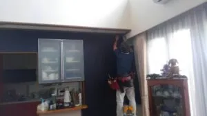 壁紙