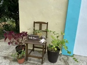 宮古島