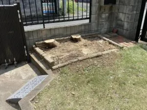 伐採