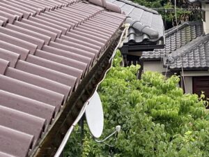 雨樋補修