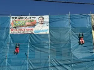 チンパンジー