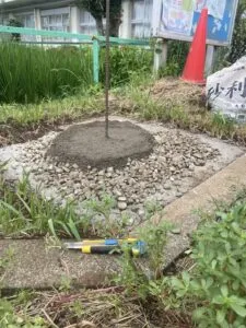 中富小学校