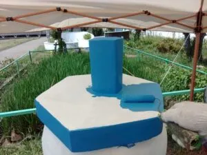 中富小学校